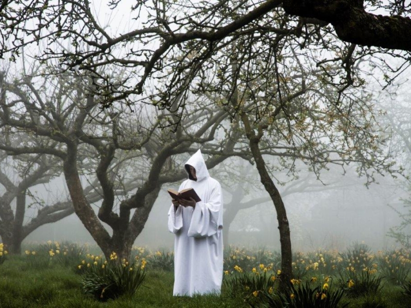 Mount Saint Bernard11