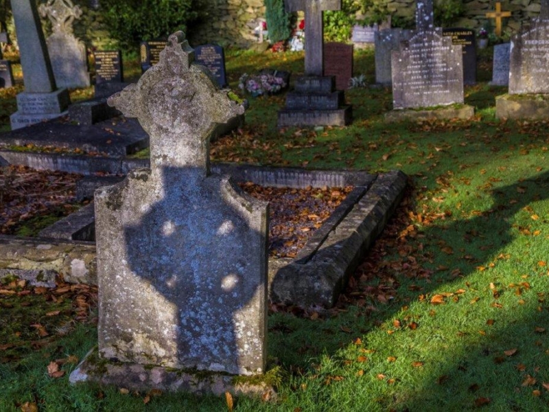 Mount Saint Bernard13