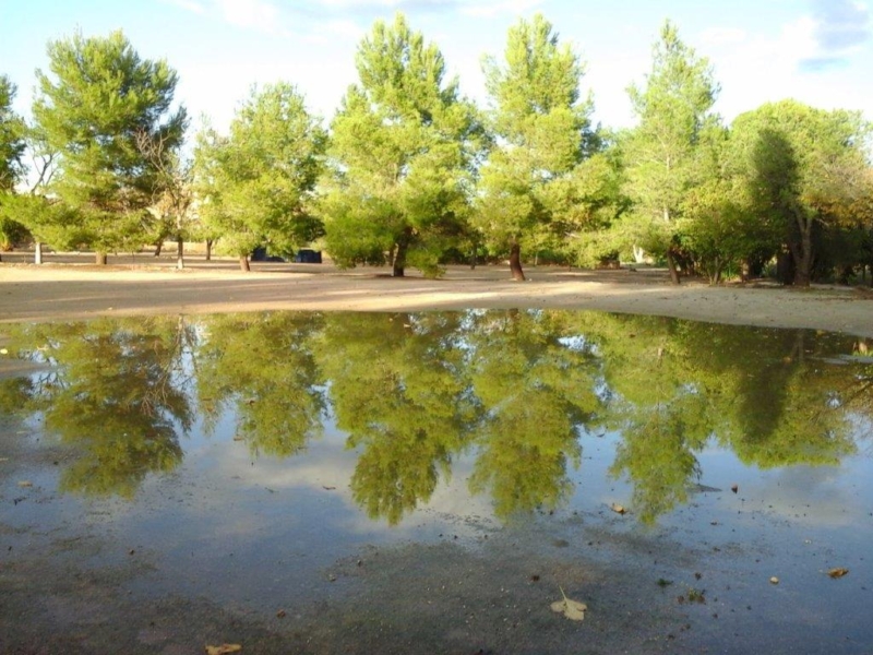 Benaguacil (13)