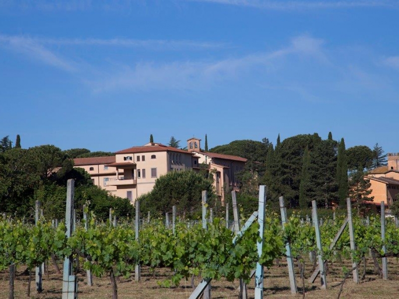 Vitorchiano sol (2)