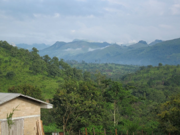 Bamenda : Order of Cistercians of the Strict Observance: OCSO