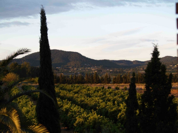 Benaguacil Ordre Cistercien de la Stricte Observance OCSO